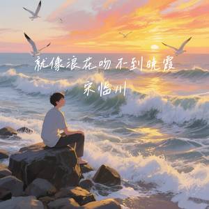 就像浪花吻不到晚霞