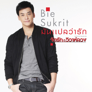 มันแปลว่ารัก (เพลงประกอบละคร "จัดรัก..วิวาห์ลวง")