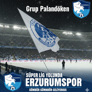 Süper Lig Yolunda ErzurumSpor
