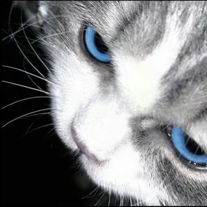 毫无牵挂(Prod by ANGER& Siren)