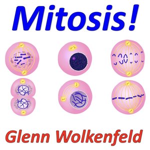 Mitosis!