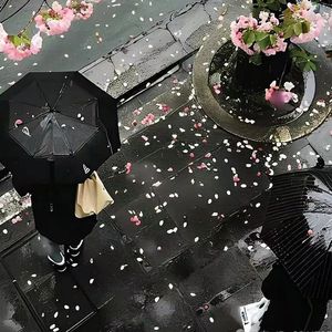 你存在我的梦里