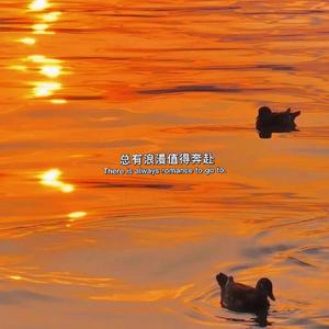 起风了——JJ.Lin（买辣椒也用券）林俊杰