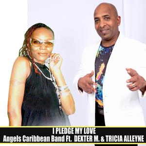I Pledge My Love