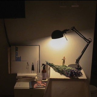 看书 刷题 静心 冥想时听的歌