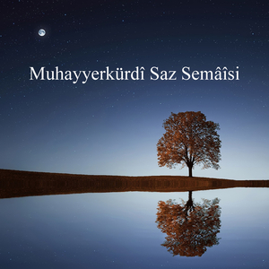 Muhayyerkürdî Saz Semâîsi