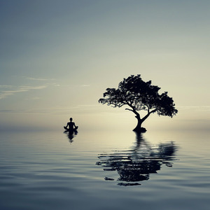 Tambor Celestial, Vida Pausada