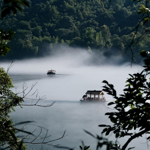 一笑江湖入梦来
