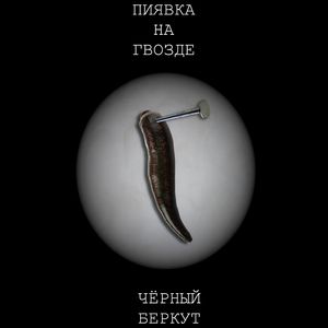 Лягушка-мутант жестоко убила банду рэперов при помощи обувной ложки и пуговицы