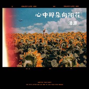 心中那朵向阳花