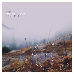 Two of Us, Diminished