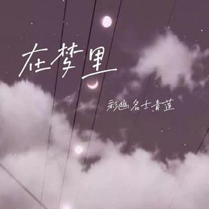 在梦里 伴奏