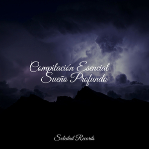 Reflexionando Sobre Estanques