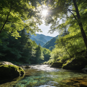 混沌觉醒