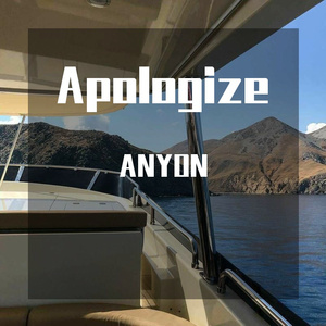 OneRepublic-Apologize（ANYON remix）
