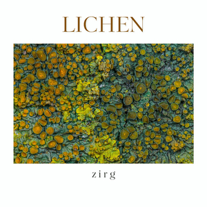 Lichen