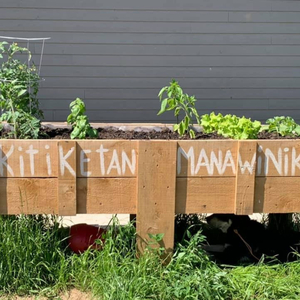 Kitiketan Manawinik