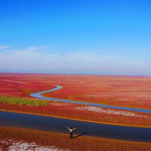 黄河口我永远的眷恋-郑勇