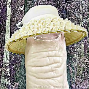 Albino Cap