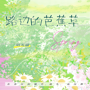 路边的芭蕉草 伴奏