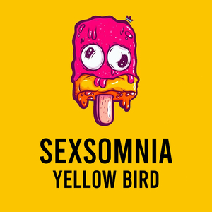 Sexsomnia