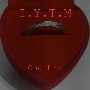 I.Y.T.M (Igual Yo Te Mentí)