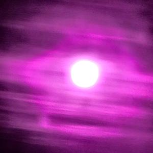 Bana le Botshiba mabonzo bana le mona