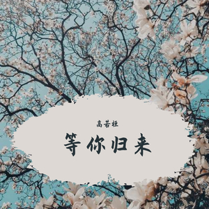 等你归来
