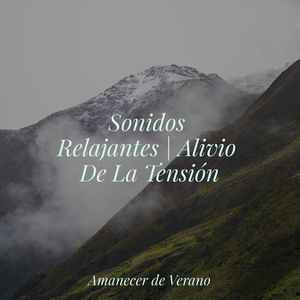 Avenida de Ensoñación a Medianoche