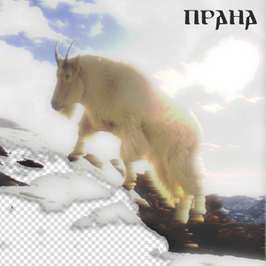 не хочу