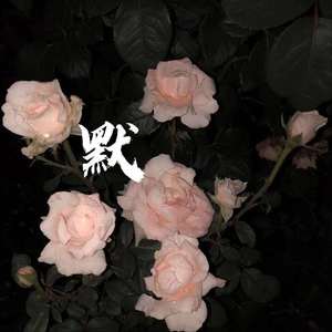 那英-默remix（醉里星河 / 姜尹 remix）