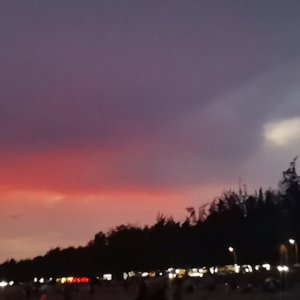 白发里的春天_分轨文件3_1758960134346_分轨.wav