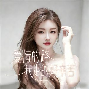 爱情的路我走的好辛苦（DJ版）