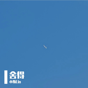 舍得(cover 王唯旖)