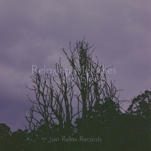 Ascension's Symphony