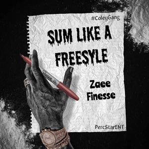 Sum Like A Freestyle