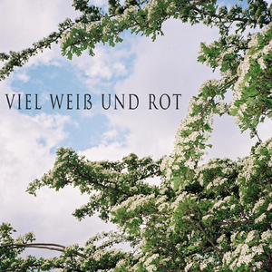 Rosarote Anfangsphase (Dopamin da)