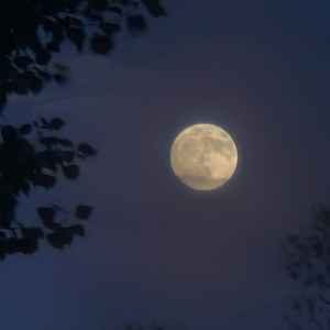 moonlight（月光）（prod by ZCBEAT）