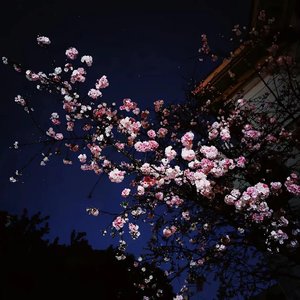 世界上唯一爱我的人也不能再爱我了