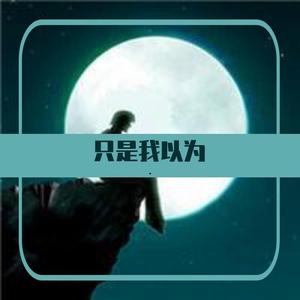 辉子-只是我以为（山野wyw remix）