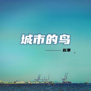 城市的鸟-赵果