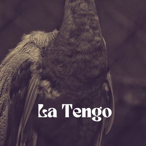 La Tengo