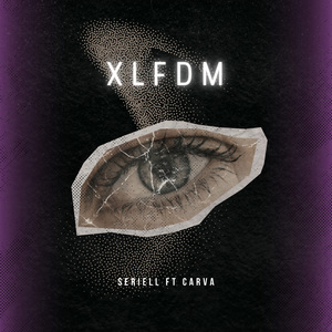 XLFDM