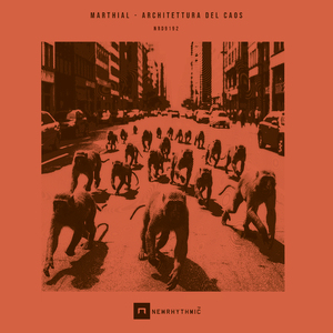 Architettura del Caos