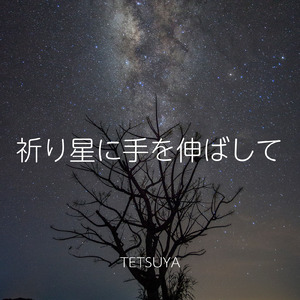 祈り星に手をのばして