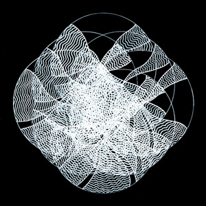 Animalia(TDRVA002)