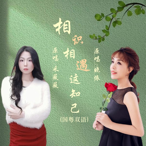 相识相遇这知己DJ (国粤语版伴奏)