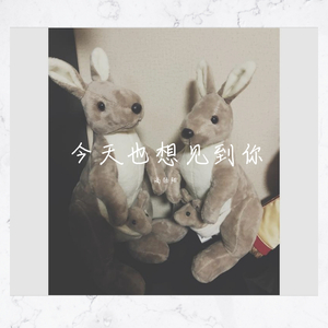 今天也想见到你