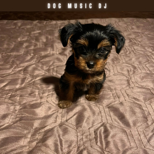 Gigi's Lullaby