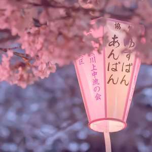 入夢・桜